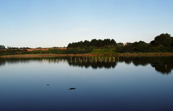 Gulf inlet